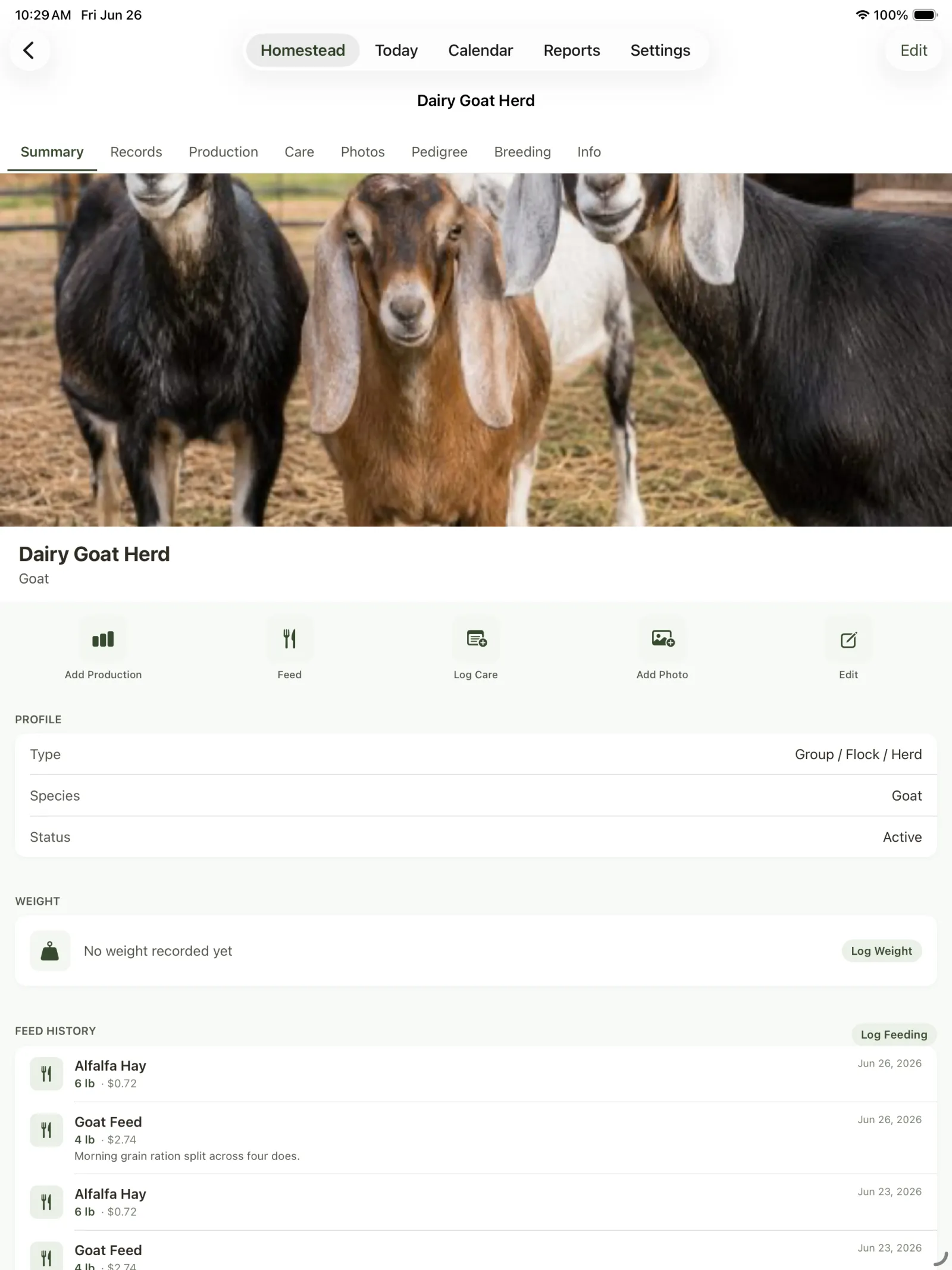 Dairy goat herd detail screen with tabs and recent records.